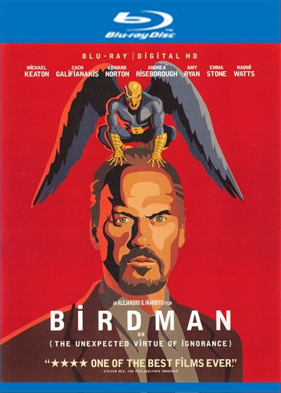 What is Birdman About the Movie 