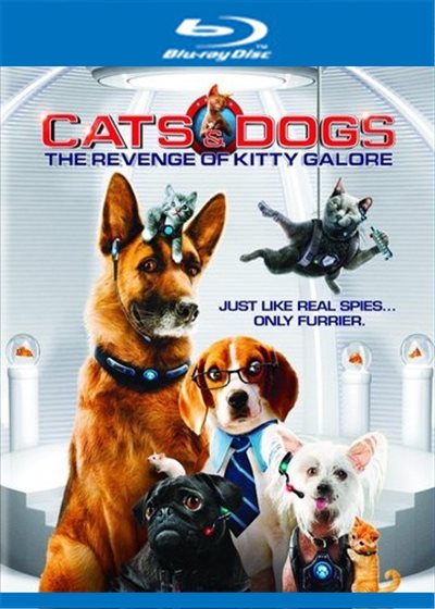 レア洋書A Dog Called Kitty DOG CALLED KITTY A Dog Called Kitty by Bill Wallace | Goodreads